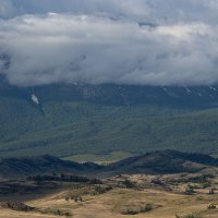 *** :: владимир 