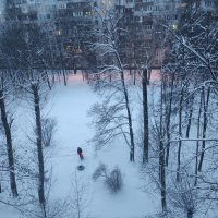 Предновогодье :: Игорь Ч.