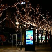 Рождество в Штутгарте - 11 :: Алексей Кузнецов