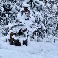 Чудище-снежище. :: Людмила Гулина Чудище-снежище. :: Людмила Гулина