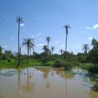 Кусочек Буркина-Фасо. :: unix (Илья Утропов)