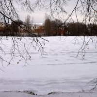 Московская область. Музей-заповедник усадьба «Остафьево». :: Наташа *****