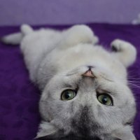 Гармония. :: Марина Леонидовна