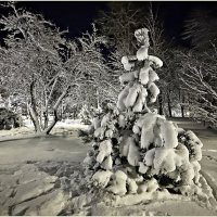 После двадцати лет ожидания,  Калининград встретил Новый год со снегом :: Валерия Комова