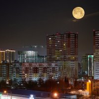 *** :: Владимир 