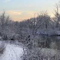 Утро. :: Александр. AVG100 --- Утро. :: Александр. AVG100 ---