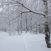 Зима на Русском Севере. :: Андрей Дурапов Зима на Русском Севере. :: Андрей Дурапов