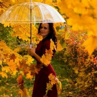 Краски осени :: Олег Краски осени :: Олег