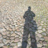 /// :: Виктор Никитенко