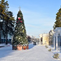 Новогодняя :: Владимир Звягин