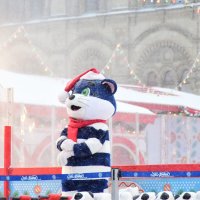 Матроскин на катке. :: Наталья Вязигина Матроскин на катке. :: Наталья Вязигина