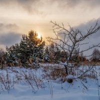 Перед новым годом 4 :: Андрей Дворников