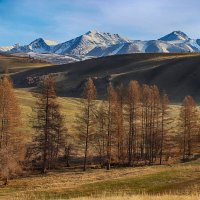 В долине Курая :: елена беликова В долине Курая :: елена беликова
