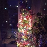 Свет ёлки новогодней :: Дмитрий Никитин