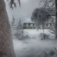 Намело :: Давид Манакьян