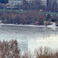 Москва-река :: Валерий Судачок
