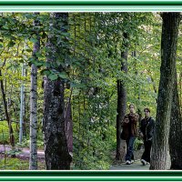 В лесопарке :: Владимир Кроливец