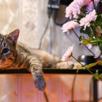 * :: Вадим * :: Вадим