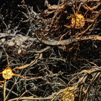 «Оставьте прошлое позади и примите светлое будущее» :: Анастасия Логинова