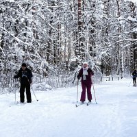 О любителях лыжного спорта. :: Милешкин Владимир Алексеевич 