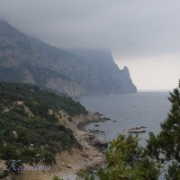 Природа Крыма :: Amazing Cosmea