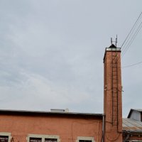 ВЫБОРГ. :: Виктор Осипчук