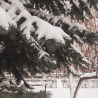 №210 :: Alex Bes №210 :: Alex Bes