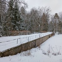 В лес, на природу! :: Лия ☼