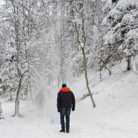 отражение :: Владимир 