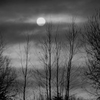 Солнечное затмение :: Мария Яковлева