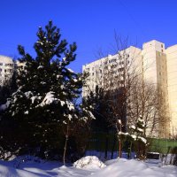 День прекрасен! :: Василий Палий