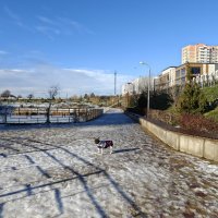 Ростовские зарисовки :: Александр Гапоненко Ростовские зарисовки :: Александр Гапоненко