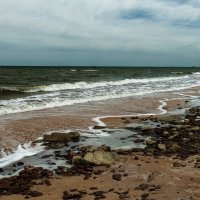 Азовское побережье :: Igor бирюков