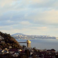 ДАГОМЫС :: Tata Wolf