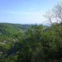 ДАГОМЫС :: Tata Wolf