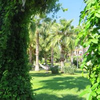 лето :: марта Камушкина лето :: марта Камушкина