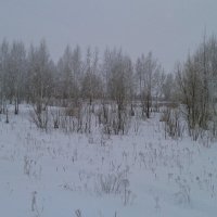 Пасмурный день. :: сергей ермошкин