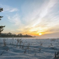 Январское утро :: Валерий Иванович