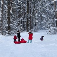 Дети любят снежную зиму. :: Милешкин Владимир Алексеевич 
