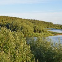 Реки изгибы. :: ВикТор Быстров