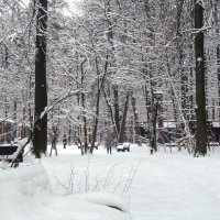 "Врата" заснеженного парка ) :: Галина 