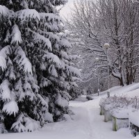 Парк Южный, Калининград :: Рита Симонова