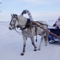 Катание с Дедом Морозом :: Наталия Григорьева