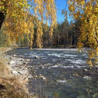 *** :: владимир 