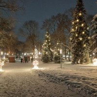 Ёлочки :: BoxerMak Mak Ёлочки :: BoxerMak Mak