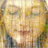 ПРОЩАНИЕ С ОСЕНЬЮ... :: Elvira E. 