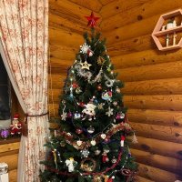 Зима :: Венера Чуйкова