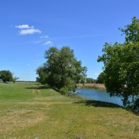 Местные виды. :: Виктор 