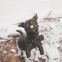 №217 :: Alex Bes №217 :: Alex Bes