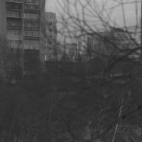 Переход по льду: шаг навстречу... :: Сергей Сергеев